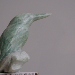 IJsvogel 2