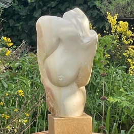 Torso vrouw