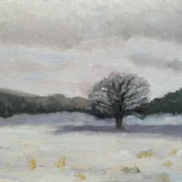 Eenzame boom nr. 4 - winter