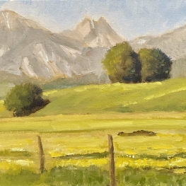 Alpenlandschap met bomen