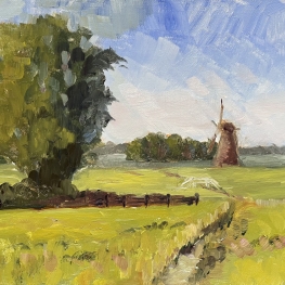 Polder bij Leiderdorp