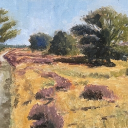 Balloërveld, Drenthe