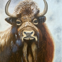 Buffel 