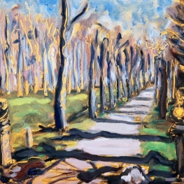 Laan van Oldruitenborgh