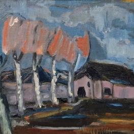 Het kleine huis in het veen