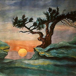 dans van het licht – kronkelboom bij zonsondergang”