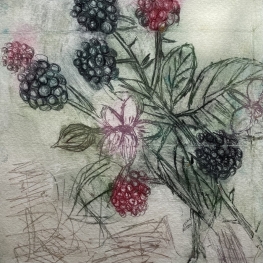 Longing for Blackberries