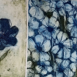 See fan Blau