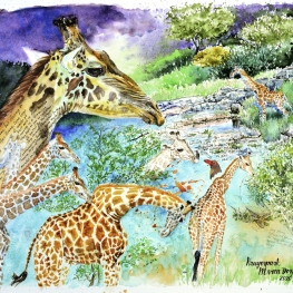 giraffen Krugerpark