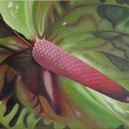 anthurium