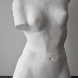 Venus, half fulltime size
