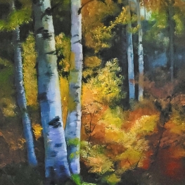 Berkenbos