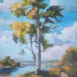 Berkenboom