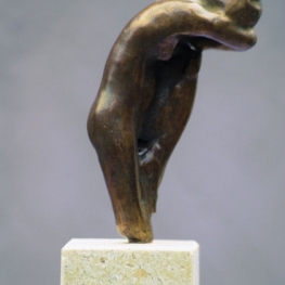 Kleine tors danseres