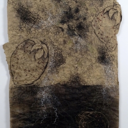 Aardbeien - Houskooltekening 