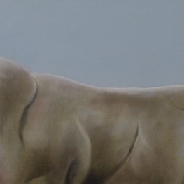 Vleselijk ongenoegen