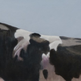 Natuurlijk een stier