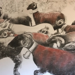 Flock of sheep - São Geraldo, Portugal