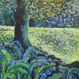 Open plek in het bos