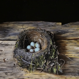 Merelnest 5 eieren