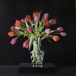 Meerkleurige rode Tulpen