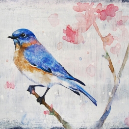 Bluebird I