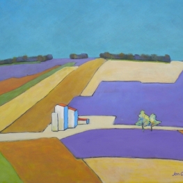 Landschap. Paysage de lavande et d'épautre