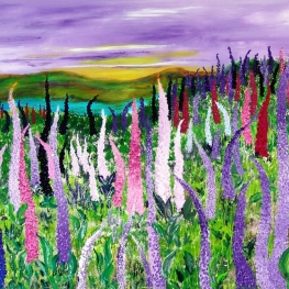 Field with lupines