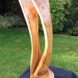 Two Curves of Acacia