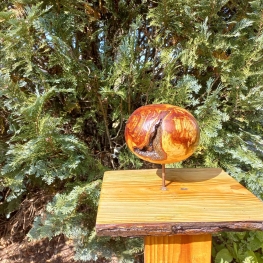 Zwarte Kersenpruim Burl