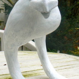 Vreemde vogel met koperen ogen