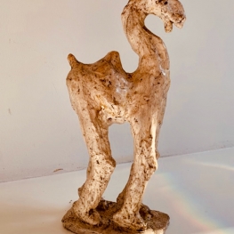 Schonkige Dromedaris op 4 poten