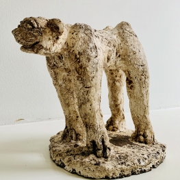 Lelijke staande mops hond