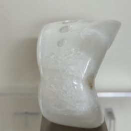 mannen torso