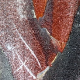 Driehoekspalm Madagaskar (detail) II