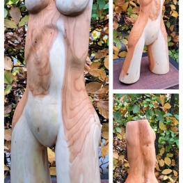 Vrouwelijke torso