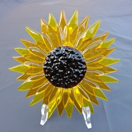 Zonnebloem