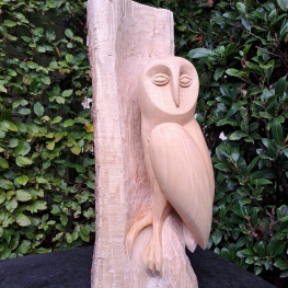 Uil in lindenhout