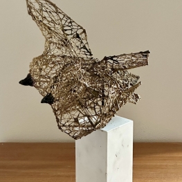 Birds1