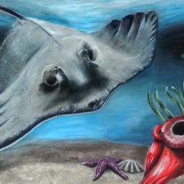 Ocean wonders