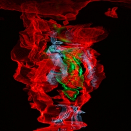 spiegeling van neon olifant