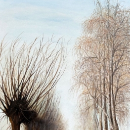 Winterlandschap bij Hulst Gemert