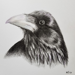 CROW