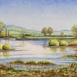 Natuurgebied Empese en Tondense Heide