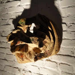 WALL KYLIA EXPERIMENT