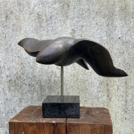Vogel