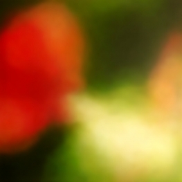 Altered State  field 202201