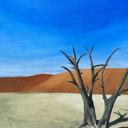 Sossusvlei Namibië 2