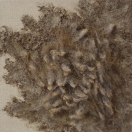 materie Texelse wol 1