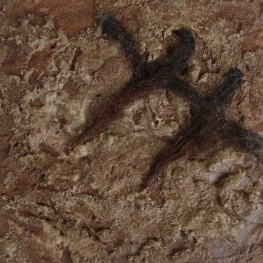 materie Texelse wol 3